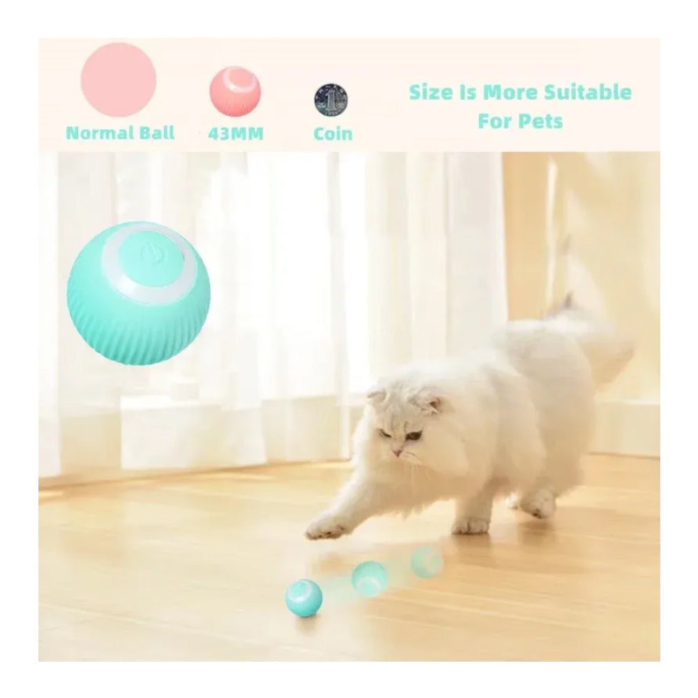 Interactive Rolling Cat Ball